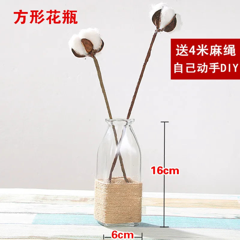 Creative Transparent Glass Vase Modern Minimalist Hydroponic Vase Nordic Home Ornaments Vase Decoration Dried Flower Vase