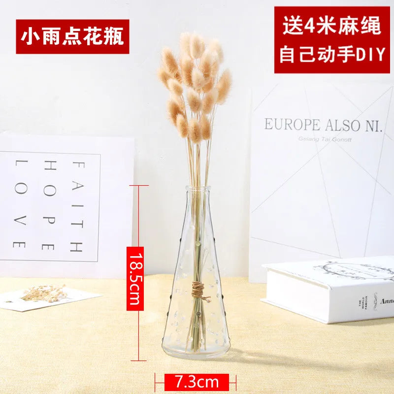 Creative Transparent Glass Vase Modern Minimalist Hydroponic Vase Nordic Home Ornaments Vase Decoration Dried Flower Vase