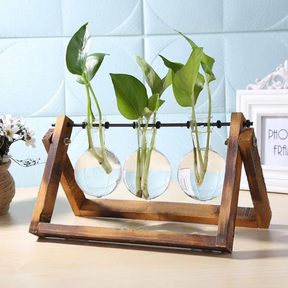 Decoration Terrarium Tabletop Planter Flower Pot Wooden Frame Hydroponic Plant Vases Glass Vase