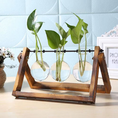 Decoration Terrarium Tabletop Planter Flower Pot Wooden Frame Hydroponic Plant Vases Glass Vase