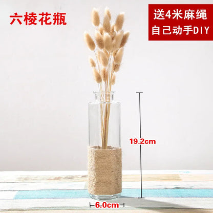 Creative Transparent Glass Vase Modern Minimalist Hydroponic Vase Nordic Home Ornaments Vase Decoration Dried Flower Vase
