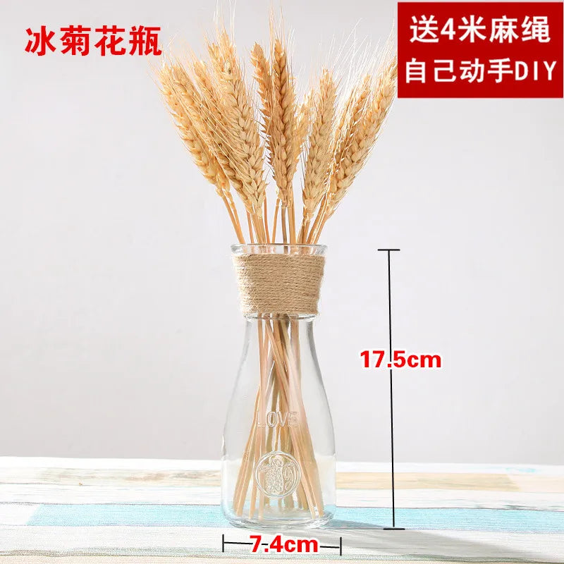 Creative Transparent Glass Vase Modern Minimalist Hydroponic Vase Nordic Home Ornaments Vase Decoration Dried Flower Vase