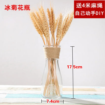 Creative Transparent Glass Vase Modern Minimalist Hydroponic Vase Nordic Home Ornaments Vase Decoration Dried Flower Vase