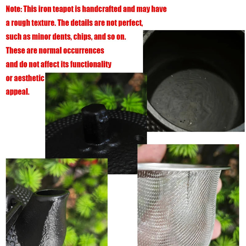 300ML Tea Pot with Stainless Steel Infuser Cast Iron Teapot Tea Kettle for Boiling Water Oolong Tea