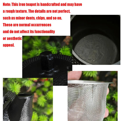 300ML Tea Pot with Stainless Steel Infuser Cast Iron Teapot Tea Kettle for Boiling Water Oolong Tea