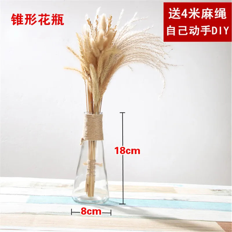 Creative Transparent Glass Vase Modern Minimalist Hydroponic Vase Nordic Home Ornaments Vase Decoration Dried Flower Vase