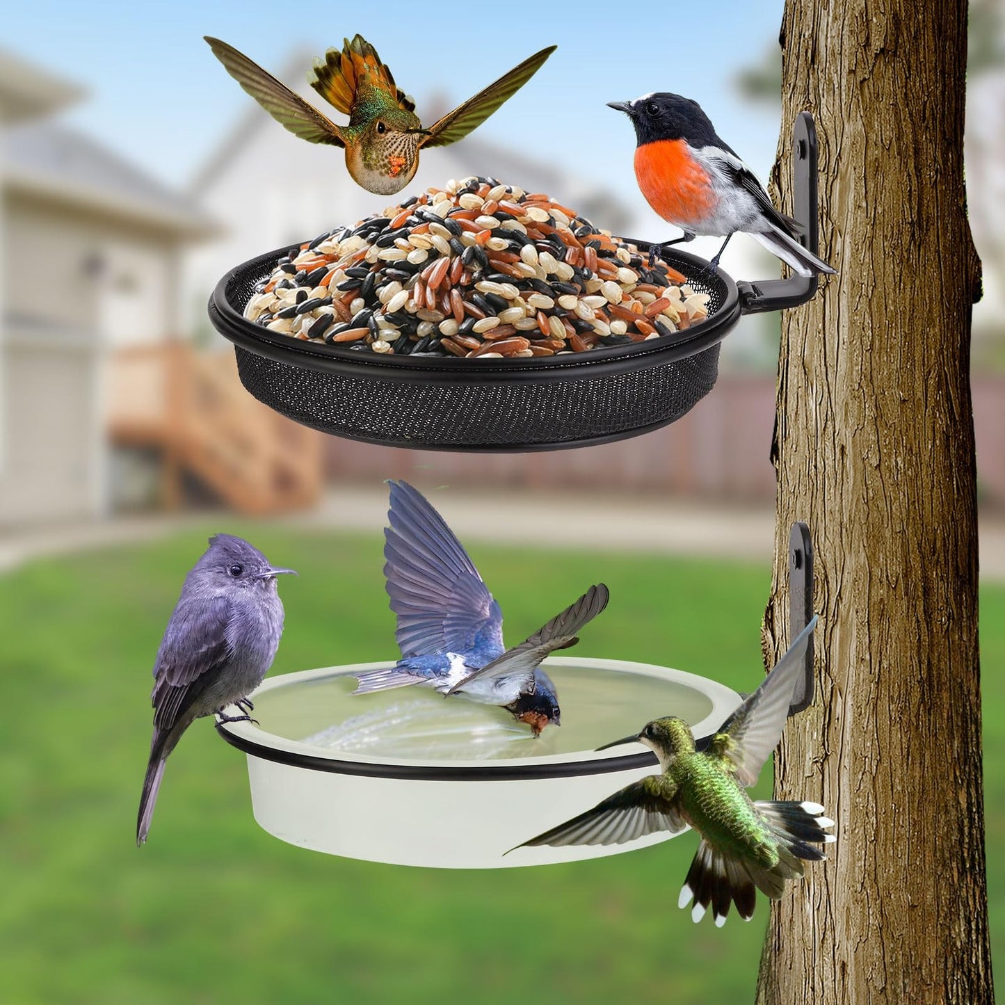 2 Pack Tree Mounted Bird Feeder Bath Tray Heavy Duty Wall Mount Squirrel Feeder