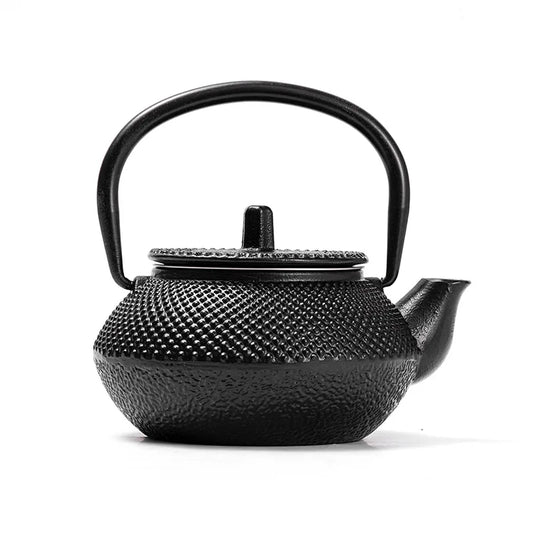 300ML Tea Pot with Stainless Steel Infuser Cast Iron Teapot Tea Kettle for Boiling Water Oolong Tea