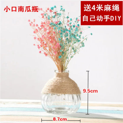 Creative Transparent Glass Vase Modern Minimalist Hydroponic Vase Nordic Home Ornaments Vase Decoration Dried Flower Vase