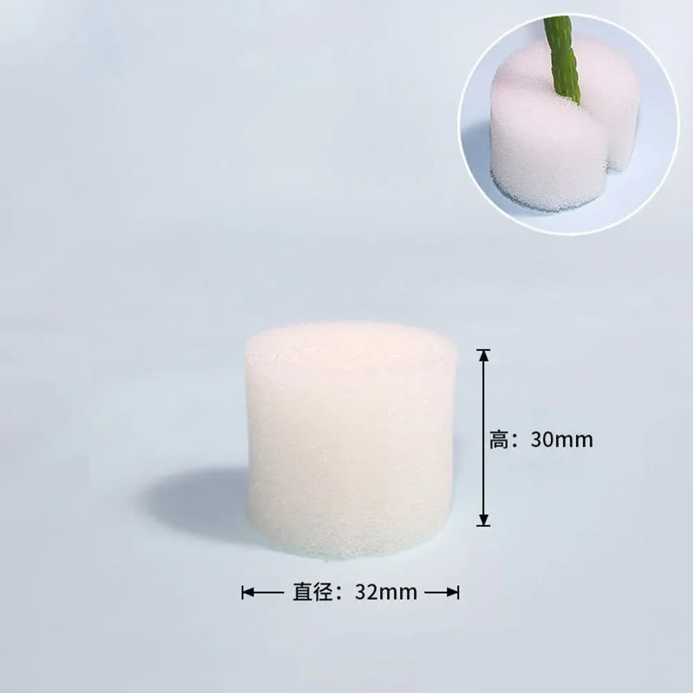 100PCS Soiless Hydroponic Gardening Tools Planted Sponge Vegetable Cultivation System Cloning Collar Garden Cultivation Plant