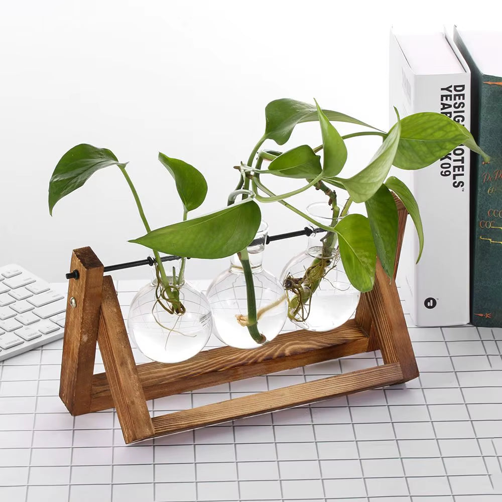 Decoration Terrarium Tabletop Planter Flower Pot Wooden Frame Hydroponic Plant Vases Glass Vase