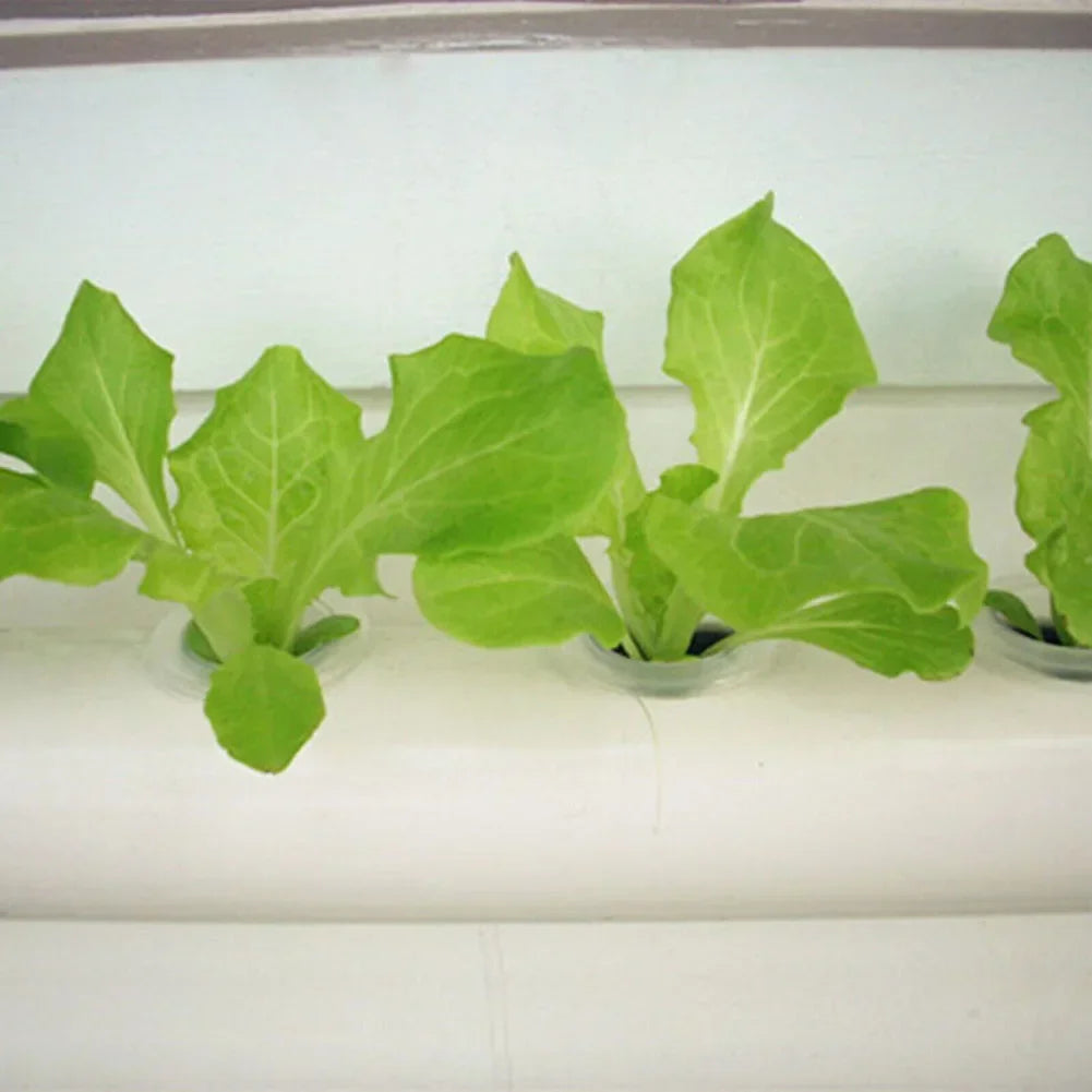 100PCS Soiless Hydroponic Gardening Tools Planted Sponge Vegetable Cultivation System Cloning Collar Garden Cultivation Plant
