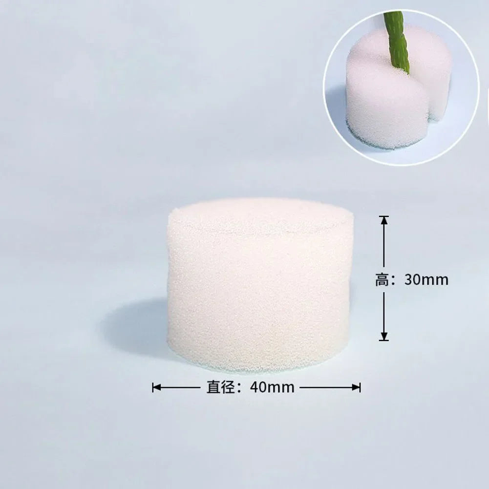 100PCS Soiless Hydroponic Gardening Tools Planted Sponge Vegetable Cultivation System Cloning Collar Garden Cultivation Plant