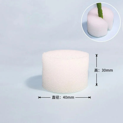 100PCS Soiless Hydroponic Gardening Tools Planted Sponge Vegetable Cultivation System Cloning Collar Garden Cultivation Plant