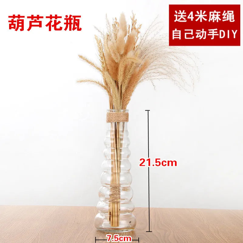 Creative Transparent Glass Vase Modern Minimalist Hydroponic Vase Nordic Home Ornaments Vase Decoration Dried Flower Vase