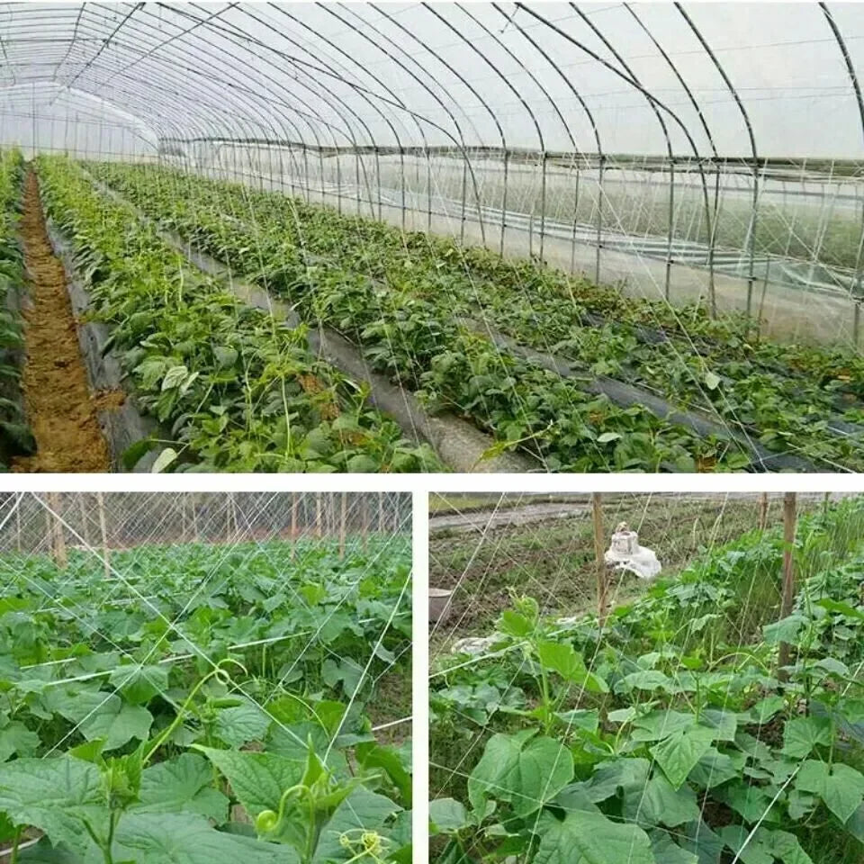 All-Weather Trellis Netting Mesh Heavy-Duty Plant Support Stand for Flowers Vegetable Vine Climbing String Net Gardening Tools