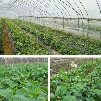 All-Weather Trellis Netting Mesh Heavy-Duty Plant Support Stand for Flowers Vegetable Vine Climbing String Net Gardening Tools